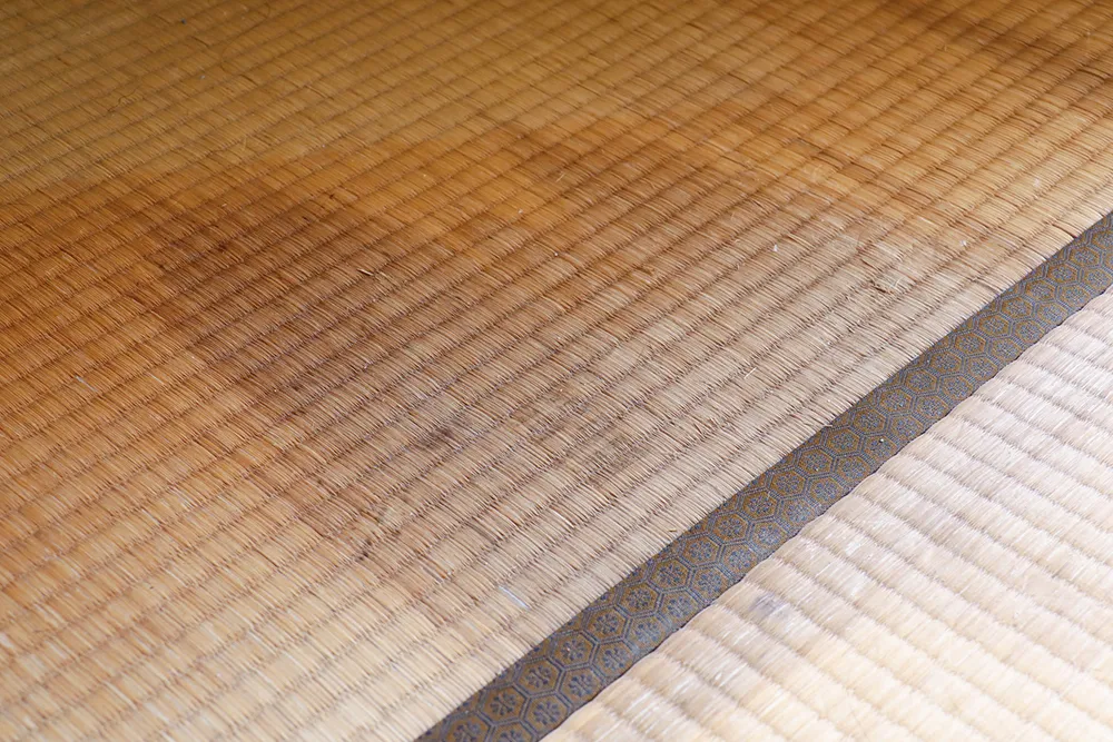 写真：畳のシミ