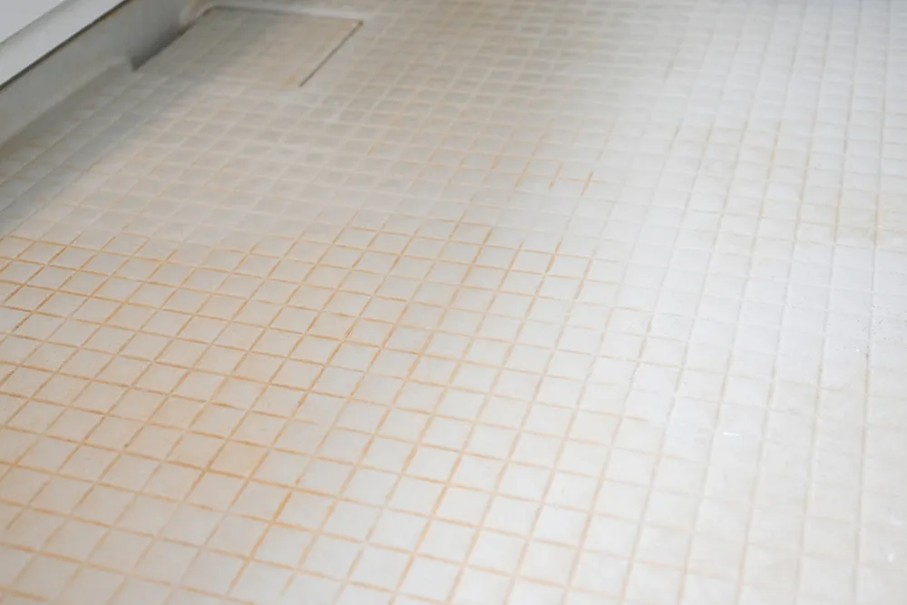 写真：風呂場のタイル