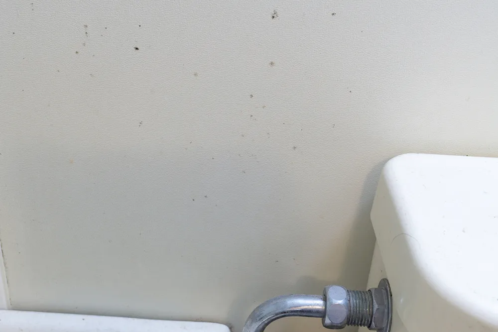 写真：トイレの壁