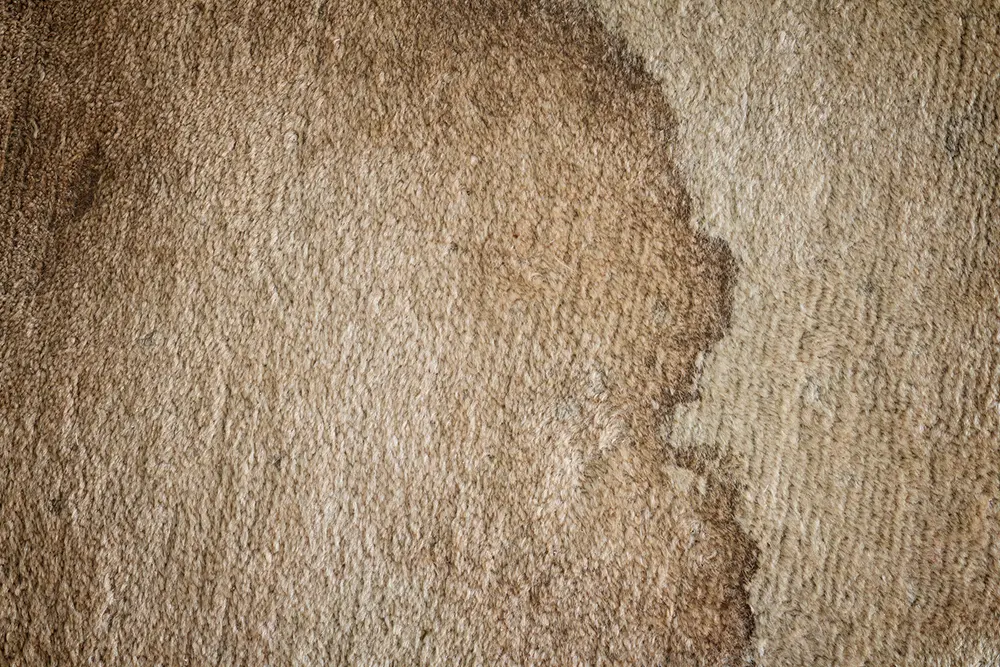 写真：絨毯のシミ