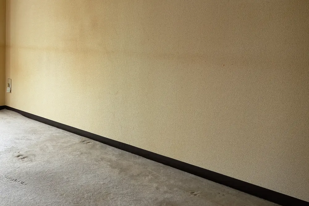 写真：壁のシミ